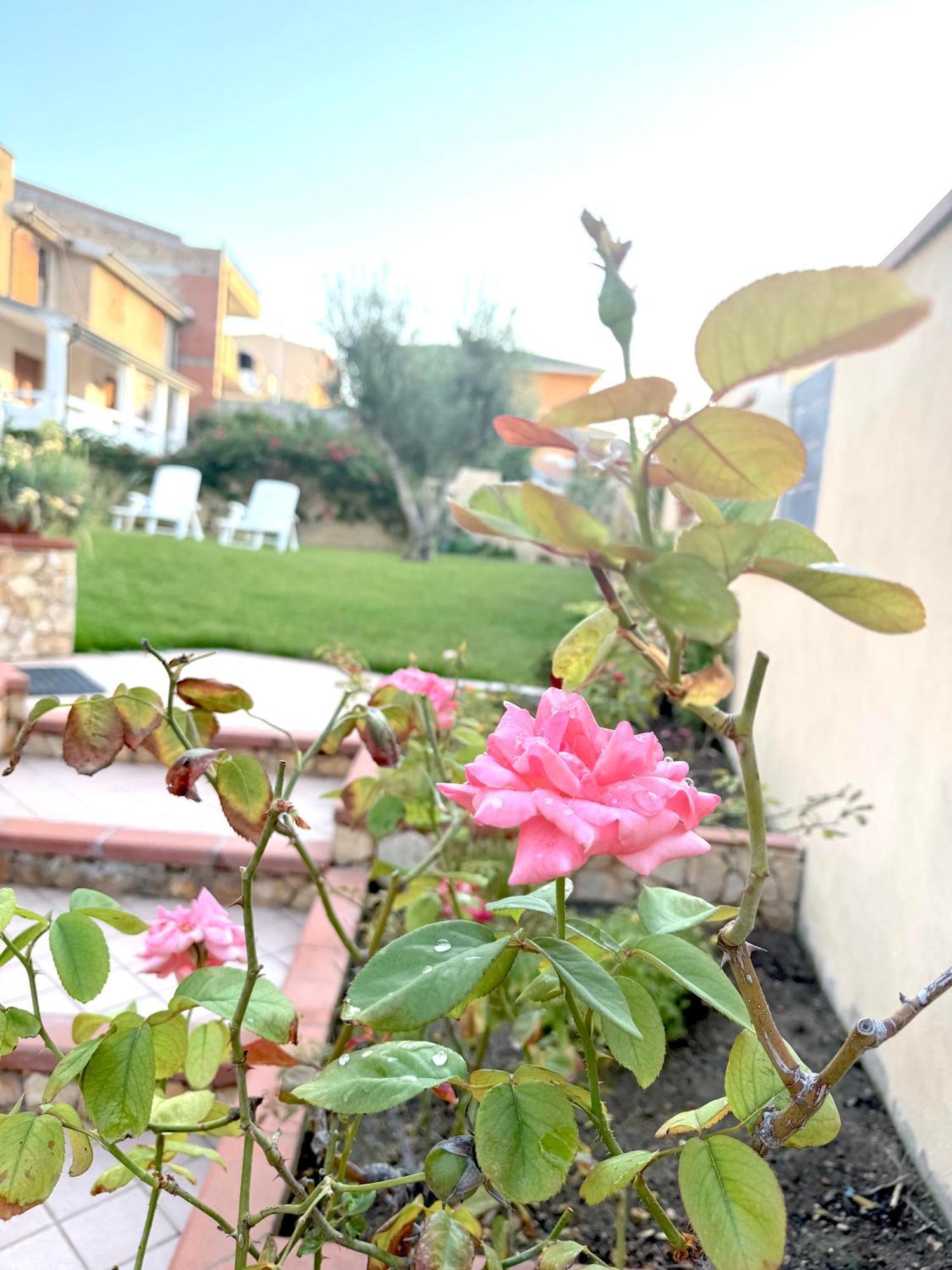 Rosa'S House - Zona Ospedaliera Apartment Cagliari Bagian luar foto